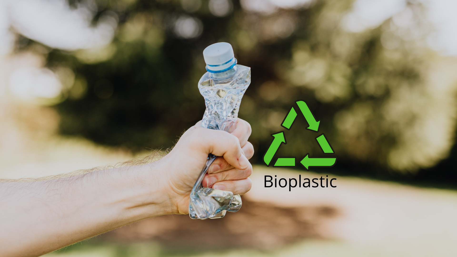 bioplastics,an,alternative,for,the,future,